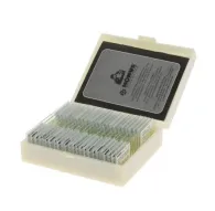Microscopes - Konus Preparation Set Reproduction Of Plants (10 Stuks) - quick order from manufacturerMicroscopes - Konus Preparation Set Reproduction Of Plants (10 Stuks) - quick order from manufacturer