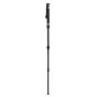 Monopods - Sirui P Series Monopod P-306 - quick order from manufacturer
