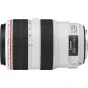 Объективы - Canon LENS EF 70-300MM F4-5.6L IS USM - быстрый заказ от производителя