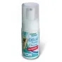 Cleaning Products - Green Clean tīrīšanas līdzeklis Office Cleaner DESINFECT 125ml C-2110 - quick order from manufacturer
