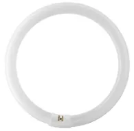 Studijas gaismu spuldzes - Falcon Eyes Spare Ring Lamp for FLC-65 65W - ātri pasūtīt no ražotājaStudijas gaismu spuldzes - Falcon Eyes Spare Ring Lamp for FLC-65 65W - ātri pasūtīt no ražotāja