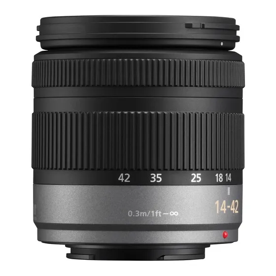 panasonic-lumix-g-x-vario-pz-