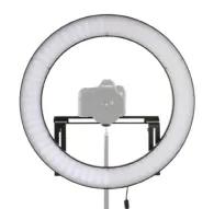 LED Gredzenveida lampas - Falcon Eyes LED Ring Lamp Dimmable DVR-512DVC on 230V - ātri pasūtīt no ražotājaLED Gredzenveida lampas - Falcon Eyes LED Ring Lamp Dimmable DVR-512DVC on 230V - ātri pasūtīt no ražotāja