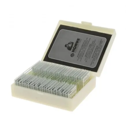 Konus Preparation Set Biology Zoology 1 (25 Pcs)