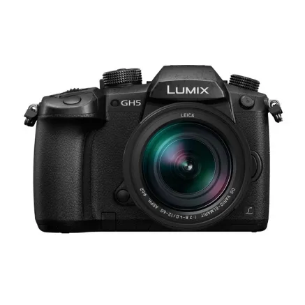 Panasonic Lumix G DC-GH5S + Panasonic LEICA DG VARIO-ELMARIT 12-60mm / F2.8-4.0 ASPH. / POWER O.I.S. (H-ES12060) (Black)