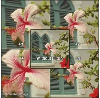 Macro - B+W Filter NL 2 Close-Up lens +2 E 58 - quick order from manufacturerMacro - B+W Filter NL 2 Close-Up lens +2 E 58 - quick order from manufacturer