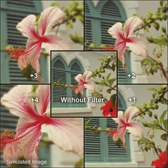 Macro - B+W Filter NL 4 Close-Up lens +4 E 58 - quick order from manufacturer