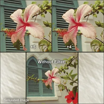 Макро - B+W Close-Up Lens NL-5 55mm - быстрый заказ от производителя