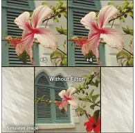 Macro - B+W Close-Up Lens NL-5 55mm - quick order from manufacturerMacro - B+W Close-Up Lens NL-5 55mm - quick order from manufacturer