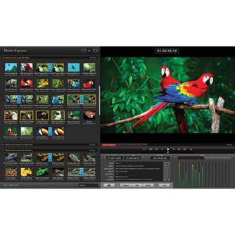 Video mixer - Blackmagic Design DeckLink SDI 4K BDLKSDI4K - быстрый заказ от производителя