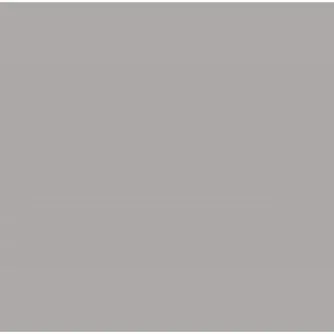 Фоны - Falcon Eyes Background Cloth BCP-03 2,9x5 m Grey Washable - быстрый заказ от производителя