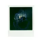 Instantkameru filmiņas - Polaroid kartiņas priekš I-TYPE - perc šodien Master Foto veikalā un ar piegādi Profesionāļu labākā izvēle