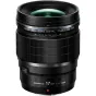 Mirrorless Lenses - Olympus 17mm f/1.2 Pro M.Zuiko Digital ED - быстрый заказ от производителя