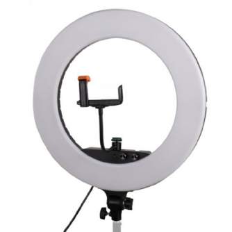 Ring Light - StudioKing LED Ring Lamp Set LED-480ASK on 230V - quick order from manufacturer