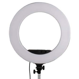 LED Gredzenveida lampas - StudioKing LED Ring Lamp Set LED-480ASK on 230V - ātri pasūtīt no ražotāja