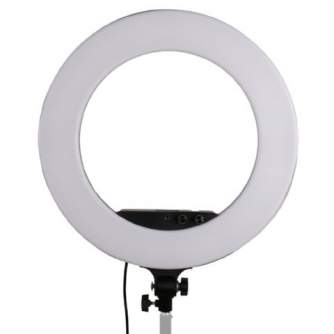 Ring Light - StudioKing LED Ring Lamp Set LED-480ASK on 230V - quick order from manufacturer