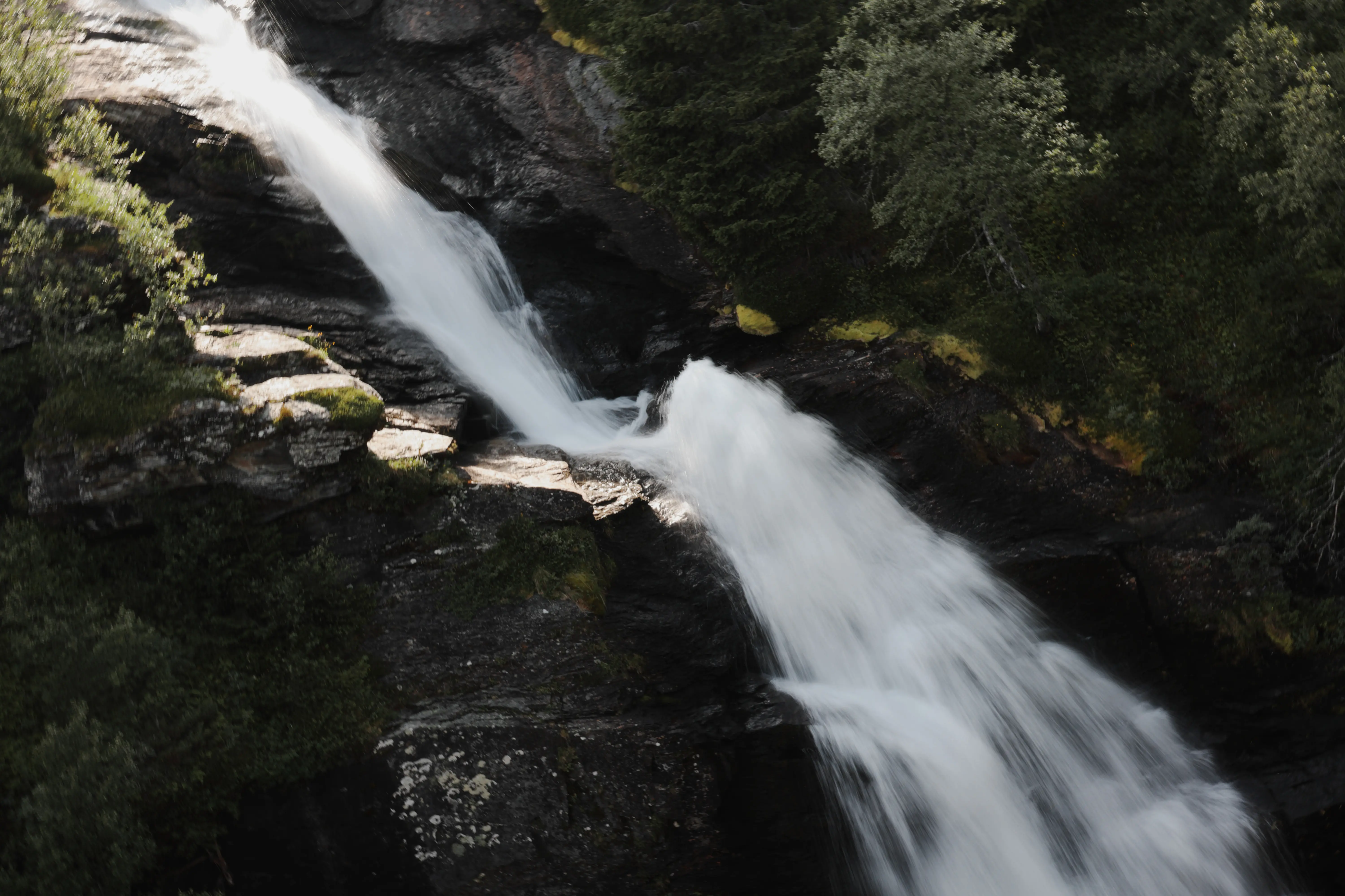 Ainavas paraugs no Canon EOS R8 Mark II materiāliem