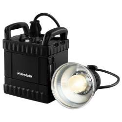 Studio Flashes with Power Packs