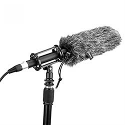 Shotgun Microphone